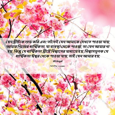 Picture 06 - ফিলিপীয়া 3:9 BENIRV - যেন খ্রীষ্টকে লাভ - Bible Verse Picture