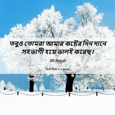 Picture 06 - ফিলিপীয়া 4:14 BENIRV - তবুও তোমরা আমার - Bible Verse Picture