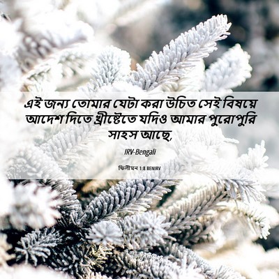 Picture 06 - ফিলীমন 1:8 BENIRV - এই জন্য তোমার যেটা - Bible Verse Picture