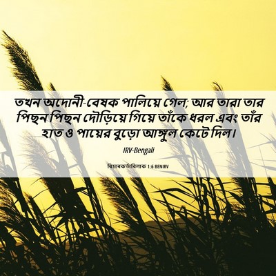 Picture 06 - বিচাৰকর্তাবিলাক 1:6 BENIRV - তখন অদোনী-বেষক - Bible Verse Picture