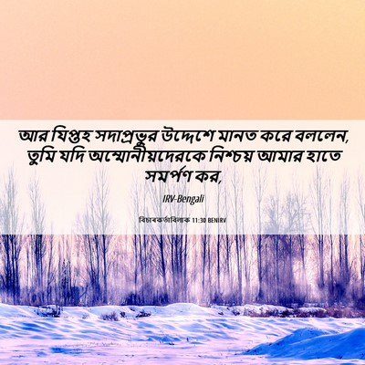 Picture 06 - বিচাৰকর্তাবিলাক 11:30 BENIRV - আর যিপ্তহ - Bible Verse Picture