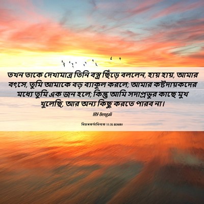 Picture 06 - বিচাৰকর্তাবিলাক 11:35 BENIRV - তখন তাকে - Bible Verse Picture