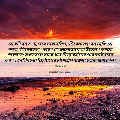 Picture 06 - বিচাৰকর্তাবিলাক 12:6 BENIRV - সে যদি বলত, না, তবে - Bible Verse Picture