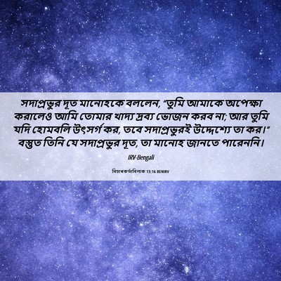 Picture 06 - বিচাৰকর্তাবিলাক 13:16 BENIRV - সদাপ্রভুর দূত - Bible Verse Picture