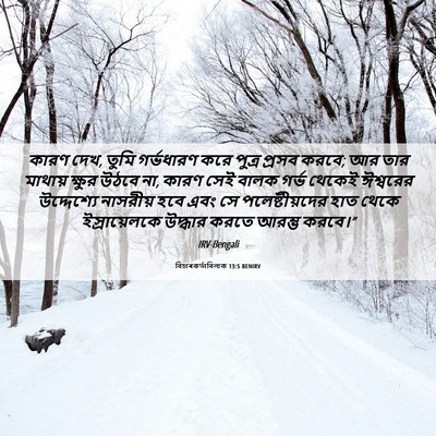 Picture 06 - বিচাৰকর্তাবিলাক 13:5 BENIRV - কারণ দেখ, তুমি - Bible Verse Picture