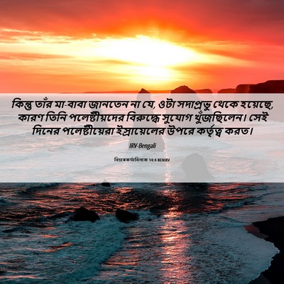 Picture 06 - বিচাৰকর্তাবিলাক 14:4 BENIRV - কিন্তু তাঁর - Bible Verse Picture