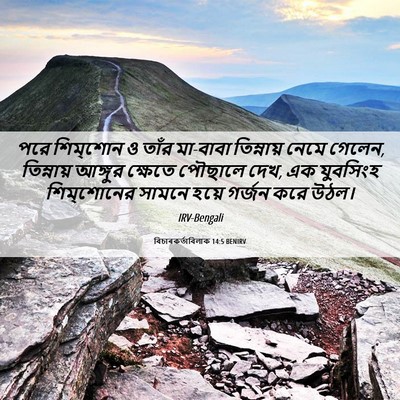 Picture 06 - বিচাৰকর্তাবিলাক 14:5 BENIRV - পরে শিম্‌শোন ও - Bible Verse Picture