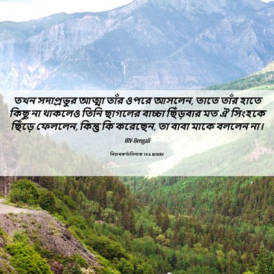 Picture 06 - বিচাৰকর্তাবিলাক 14:6 BENIRV - তখন সদাপ্রভুর - Bible Verse Picture