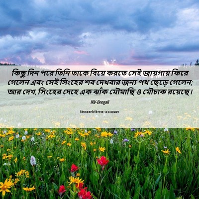 Picture 06 - বিচাৰকর্তাবিলাক 14:8 BENIRV - কিছু দিন পরে তিনি - Bible Verse Picture
