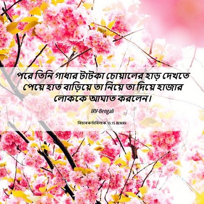 Picture 06 - বিচাৰকর্তাবিলাক 15:15 BENIRV - পরে তিনি গাধার - Bible Verse Picture