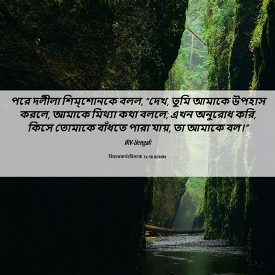 Picture 06 - বিচাৰকর্তাবিলাক 16:10 BENIRV - পরে দলীলা - Bible Verse Picture