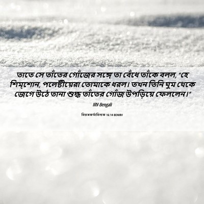 Picture 06 - বিচাৰকর্তাবিলাক 16:14 BENIRV - তাতে সে তাঁতের - Bible Verse Picture