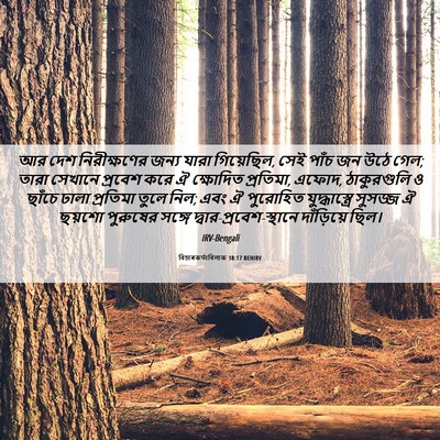 Picture 06 - বিচাৰকর্তাবিলাক 18:17 BENIRV - আর দেশ নিরীক্ষণের - Bible Verse Picture