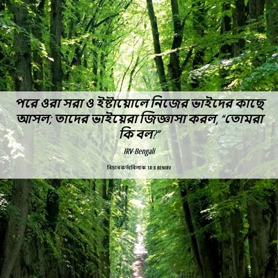 Picture 06 - বিচাৰকর্তাবিলাক 18:8 BENIRV - পরে ওরা সরা ও - Bible Verse Picture