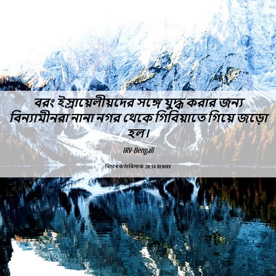 Picture 06 - বিচাৰকর্তাবিলাক 20:14 BENIRV - বরং - Bible Verse Picture