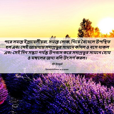 Picture 06 - বিচাৰকর্তাবিলাক 20:26 BENIRV - পরে সমস্ত - Bible Verse Picture