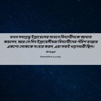 Picture 06 - বিচাৰকর্তাবিলাক 20:35 BENIRV - তখন সদাপ্রভু - Bible Verse Picture