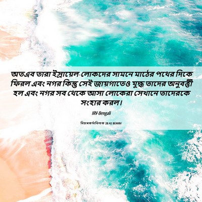 Picture 06 - বিচাৰকর্তাবিলাক 20:42 BENIRV - অতএব তারা - Bible Verse Picture