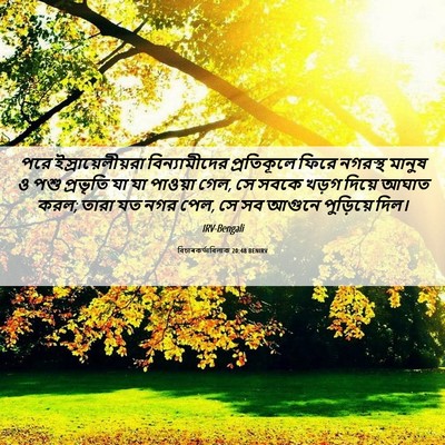 Picture 06 - বিচাৰকর্তাবিলাক 20:48 BENIRV - পরে - Bible Verse Picture