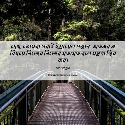 Picture 06 - বিচাৰকর্তাবিলাক 20:7 BENIRV - দেখ, তোমরা সবাই - Bible Verse Picture