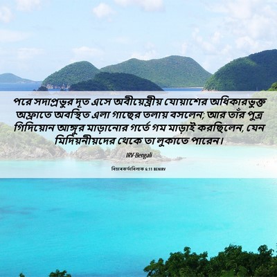 Picture 06 - বিচাৰকর্তাবিলাক 6:11 BENIRV - পরে সদাপ্রভুর দূত - Bible Verse Picture