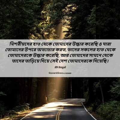 Picture 06 - বিচাৰকর্তাবিলাক 6:9 BENIRV - মিশরীয়দের হাত - Bible Verse Picture