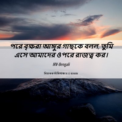 Picture 06 - বিচাৰকর্তাবিলাক 9:12 BENIRV - পরে বৃক্ষরা - Bible Verse Picture