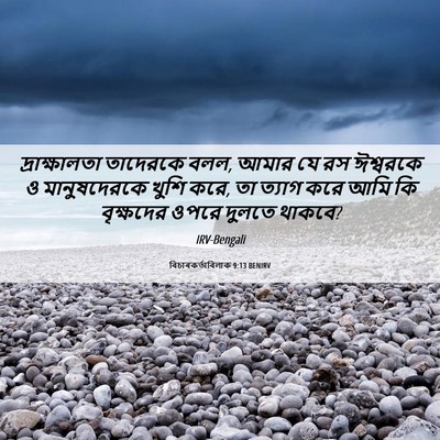 Picture 06 - বিচাৰকর্তাবিলাক 9:13 BENIRV - দ্রাক্ষালতা - Bible Verse Picture