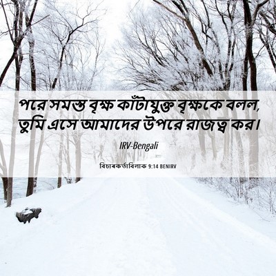 Picture 06 - বিচাৰকর্তাবিলাক 9:14 BENIRV - পরে সমস্ত বৃক্ষ - Bible Verse Picture