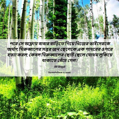Picture 06 - বিচাৰকর্তাবিলাক 9:5 BENIRV - পরে সে অফ্রায় - Bible Verse Picture