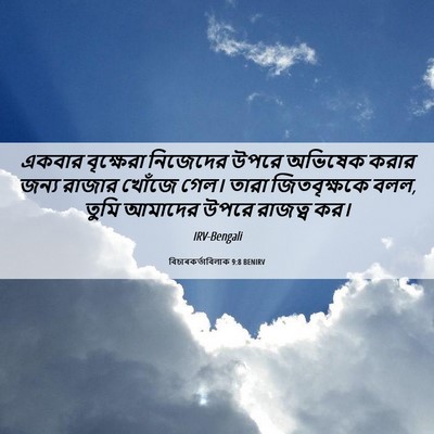 Picture 06 - বিচাৰকর্তাবিলাক 9:8 BENIRV - একবার বৃক্ষেরা - Bible Verse Picture