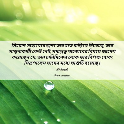 Picture 06 - বিলাপ 1:17 BENIRV - সিয়োন সাহায্যের - Bible Verse Picture