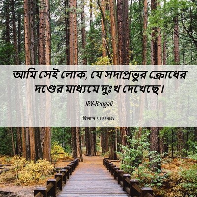Picture 06 - বিলাপ 3:1 BENIRV - আমি সেই লোক, যে - Bible Verse Picture