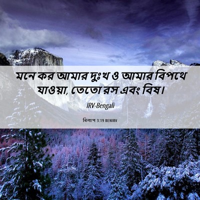 Picture 06 - বিলাপ 3:19 BENIRV - মনে কর আমার দুঃখ ও - Bible Verse Picture