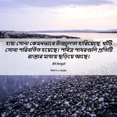Picture 06 - বিলাপ 4:1 BENIRV - হায়! সোনা - Bible Verse Picture