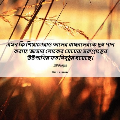 Picture 06 - বিলাপ 4:3 BENIRV - এমন কি শিয়ালেরাও - Bible Verse Picture