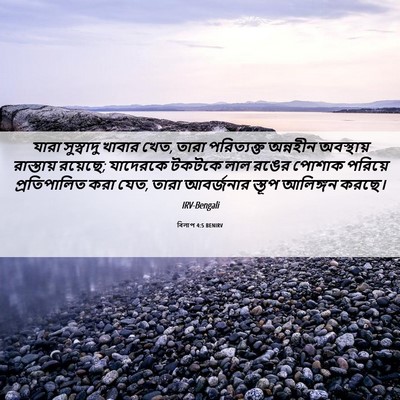 Picture 06 - বিলাপ 4:5 BENIRV - যারা সুস্বাদু - Bible Verse Picture