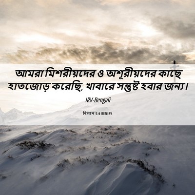 Picture 06 - বিলাপ 5:6 BENIRV - আমরা মিশরীয়দের ও - Bible Verse Picture