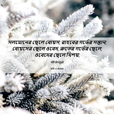 Picture 06 - মথি 1:5 BENIRV - সলমোনের ছেলে - Bible Verse Picture