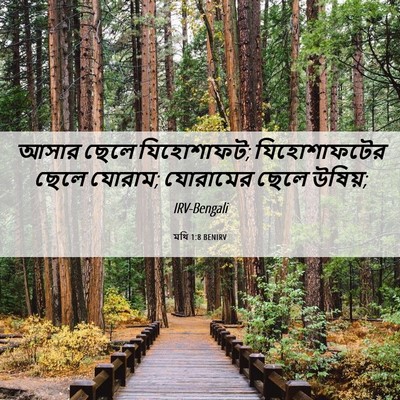 Picture 06 - মথি 1:8 BENIRV - আসার ছেলে - Bible Verse Picture