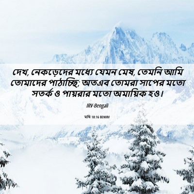 Picture 06 - মথি 10:16 BENIRV - দেখ, নেকড়েদের - Bible Verse Picture