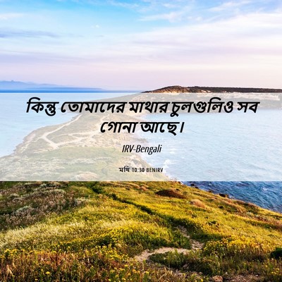 Picture 06 - মথি 10:30 BENIRV - কিন্তু তোমাদের - Bible Verse Picture