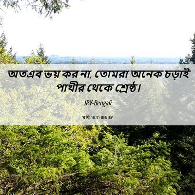 Picture 06 - মথি 10:31 BENIRV - অতএব ভয় কর না, - Bible Verse Picture