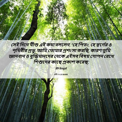 Picture 06 - মথি 11:25 BENIRV - সেই দিনে যীশু এই - Bible Verse Picture