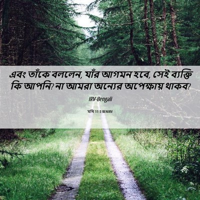 Picture 06 - মথি 11:3 BENIRV - এবং তাঁকে বললেন, - Bible Verse Picture