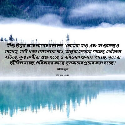 Picture 06 - মথি 11:4 BENIRV - যীশু উত্তর করে - Bible Verse Picture