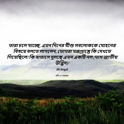 Picture 06 - মথি 11:7 BENIRV - তারা চলে যাচ্ছে, - Bible Verse Picture