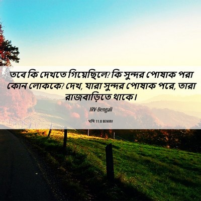 Picture 06 - মথি 11:8 BENIRV - তবে কি দেখতে - Bible Verse Picture