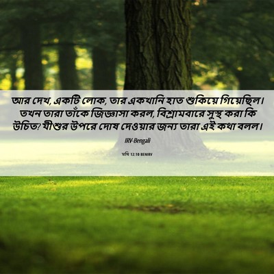 Picture 06 - মথি 12:10 BENIRV - আর দেখ, একটি লোক, - Bible Verse Picture