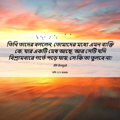 Picture 06 - মথি 12:11 BENIRV - তিনি তাদের বললেন, - Bible Verse Picture